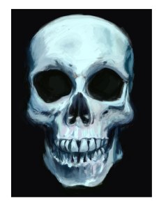 skull2ejemplo-copy